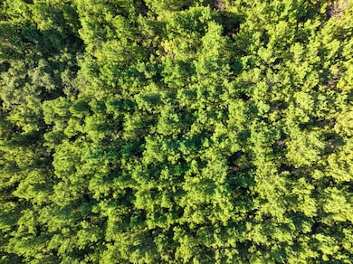 US 70 W, Dierks, AR 71846 - photo 6