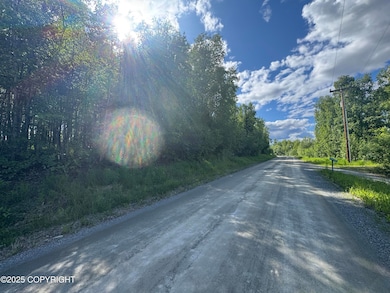 3597 S Dawn Lake Dr, Wasilla, AK 99654 - photo 3