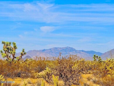 20241105064626901828000000-o