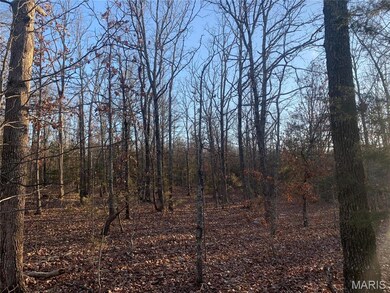 22892 Highway C, Rolla, MO 65401 - photo 4