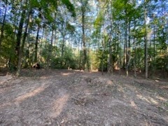 1685 Margaret, Kirbyville, TX 75956 - photo 2