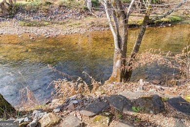 4119 Riverbank Run unit 19, Hiawassee, GA 30546 - photo 6