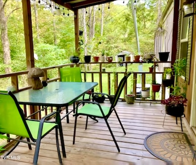 4127 Middlebrook Way, Saint Paul, VA 24283 - photo 4