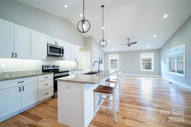 48 Tipperary Dr, Asheville, NC 28806 - photo 4