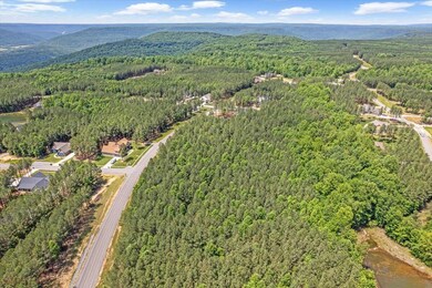 06-DJI_0930