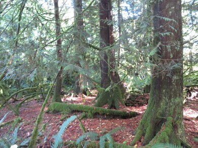 0 Klein Rd unit 17550674, Napavine, WA 98565 - photo 2