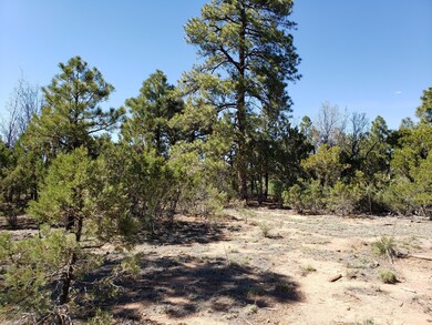 4180 Sugar Pine Loop