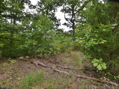 6355 N Big Feather Ridge Rd, Proctor, OK 74457 - photo 3