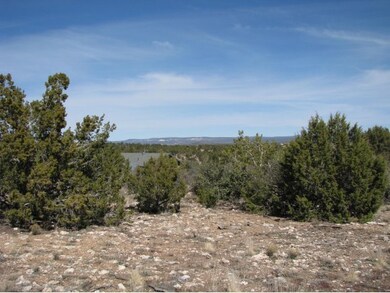 3566 W Ranch Rd, Ash Fork, AZ 86320 - photo 5