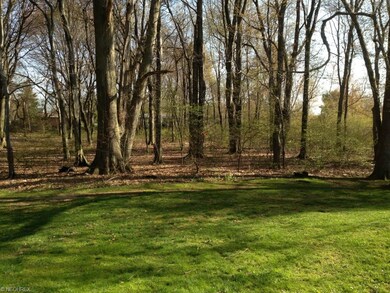 Lovely private rear yard !