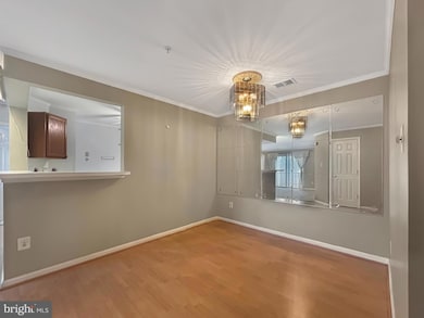 9060 Gracious End Ct unit 201, Columbia, MD 21046 - photo 5
