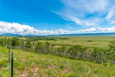 0 Breakneck Pass Ct unit S1027527, Fairplay, CO 80440 - photo 6