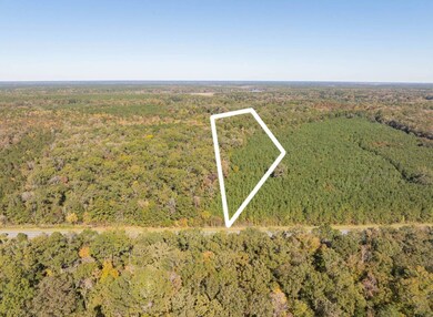 239 Trask Pkwy, Yemassee, SC 29945 - photo 3