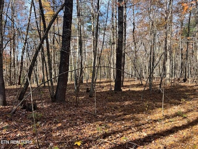 523 Honey Creek Loop Rd, Allardt, TN 38504 - photo 3