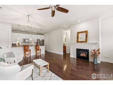 5850 Dripping Rock Ln unit A201, Fort Collins, CO 80528 - photo 5