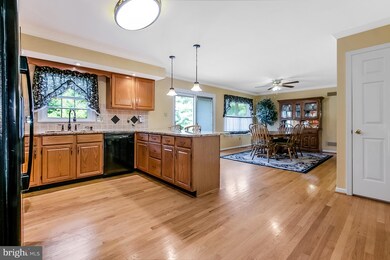 526 Ponderosa Dr, Bear, DE 19701 - photo 4