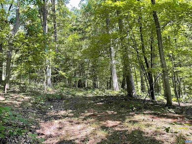 633 Stone Chimneys Rd, Nellysford, VA 22958 - photo 3