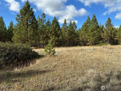 3 Garrison Rd, Goldendale, WA 98620 - photo 7