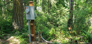 18100 Sundown Ct SE, Yelm, WA 98597 - photo 5