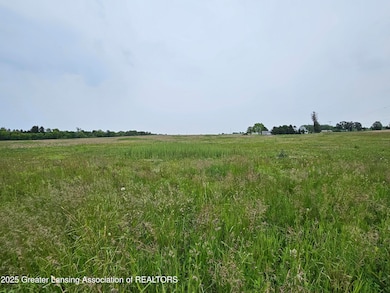 V/L W Barnes Rd, Mason, MI 48854 - photo 5