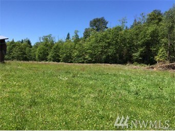 25411 Ebey Mountain Rd, Arlington, WA 98223 - photo 6