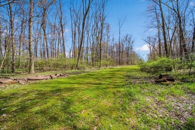 79-web-or-mls-DSC01112