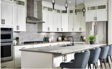 3 Simmental Loop, Castle Rock, CO 80104 - photo 5