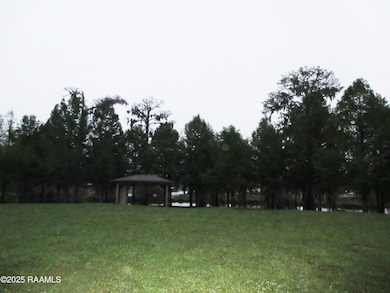 Tbd Pikachu Ln, Port Barre, LA 70577 - photo 6