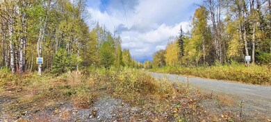 L1 S Clara Cir, Talkeetna, AK 99676 - photo 2