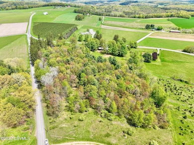 LOT 3 Ridge Rd, Benton, PA 17814 - photo 4