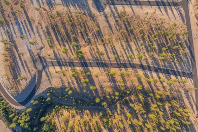 145 Legacy Way, Nine Mile Falls, WA 99026 - photo 2