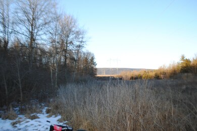 40 Gibson Rd, Allenwood, PA 17810 - photo 5