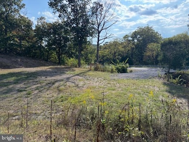 222 Siler Ln, Winchester, VA 22603 - photo 2