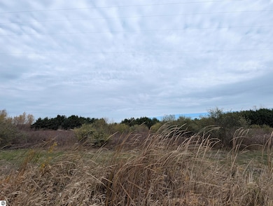 N/A Manor Rd, Au Gres, MI 48703 - photo 6