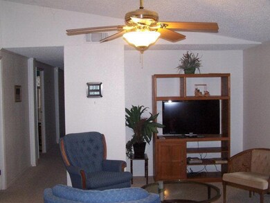 839 Santa Anna Dr unit 168 Phase 2, Alamo, TX 78516 - photo 7