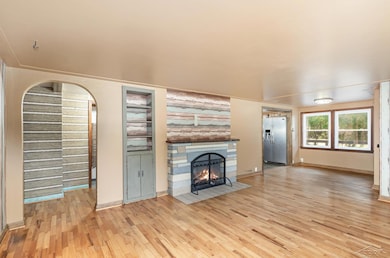 10001 Carr Rd, Saint Charles, MI 48655 - photo 5