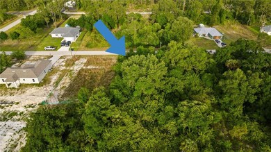 unlisted-address, Alva, FL 33920 - photo 4
