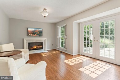 4016 Blue Slate Dr, Alexandria, VA 22306 - photo 7