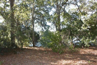 rear of lot at water