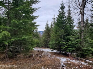 NNA Sled Run Trail, Clark Fork, ID 83811 - photo 7