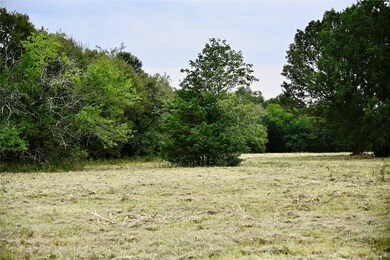 TBD W Fm 71, Talco, TX 75487 - photo 7