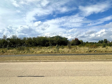 5048 Smokethorn Trail, Belvidere, IL 61008 - photo 2