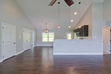 4617 Bella Capri Ln Knoxville-011-013-46