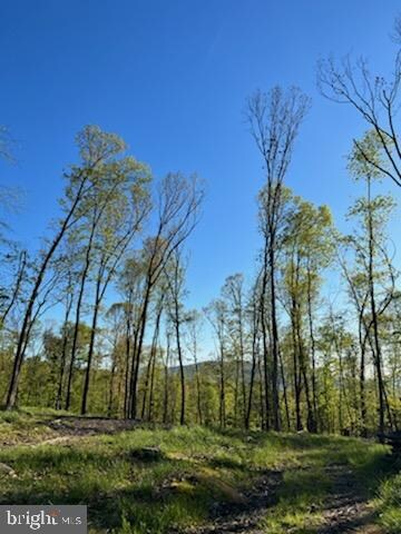 0 Magnolia unit WVMO2001622, Paw Paw, WV 25434 - photo 2