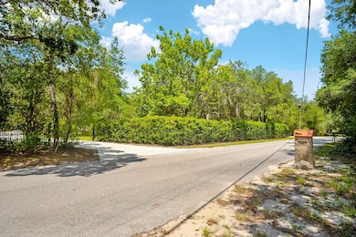 11193 Baltimore St, Weeki Wachee, FL 34614 - photo 6