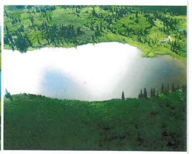 lowerpart