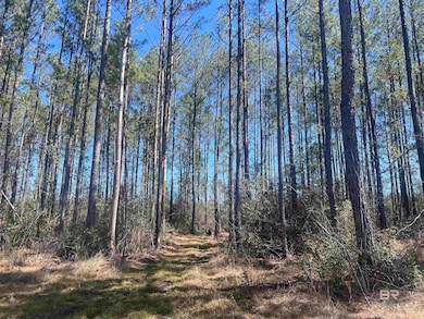 02 Robinsonville Rd, Atmore, AL 36502 - photo 2