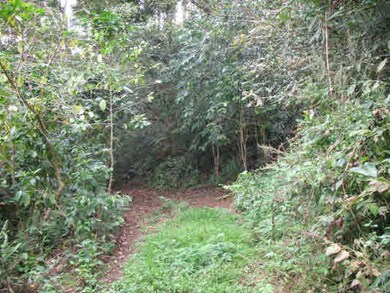 It is a jungle out there