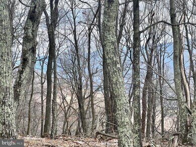 0 Laurel Dale Ridge Section unit WVGT2000170, Maysville, WV 26833 - photo 6