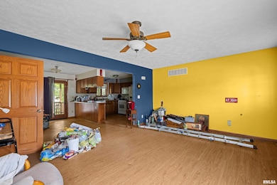 10 NE 1st Ave, Galva, IL 61434 - photo 7